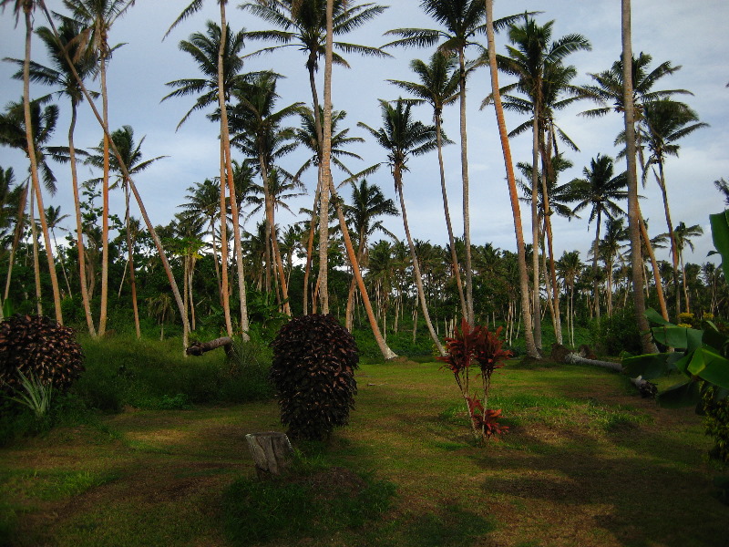 Bibis-Hideaway-Matei-Taveuni-Island-Fiji-039