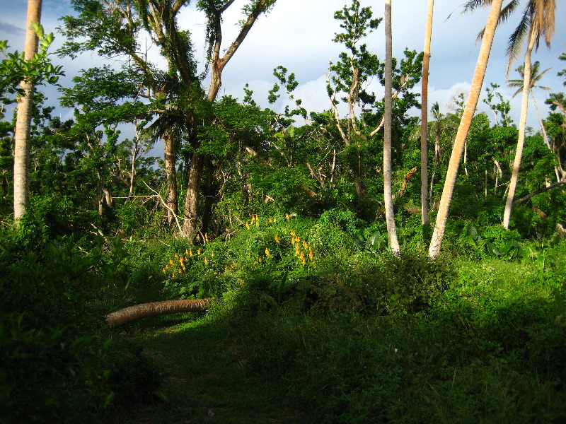 Bibis-Hideaway-Matei-Taveuni-Island-Fiji-048
