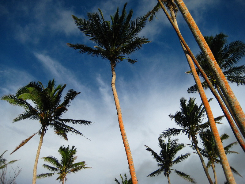 Bibis-Hideaway-Matei-Taveuni-Island-Fiji-052