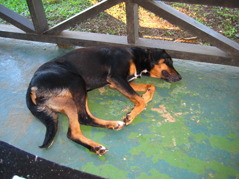 Bibis-Hideaway-Matei-Taveuni-Island-Fiji-073