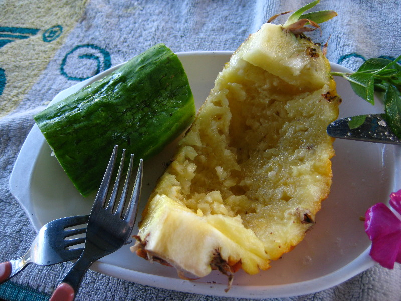 Bibis-Hideaway-Matei-Taveuni-Island-Fiji-074