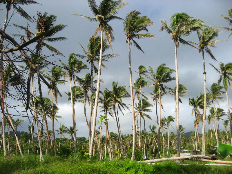 Bibis-Hideaway-Matei-Taveuni-Island-Fiji-080