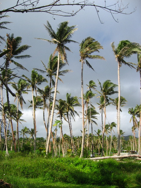Bibis-Hideaway-Matei-Taveuni-Island-Fiji-081