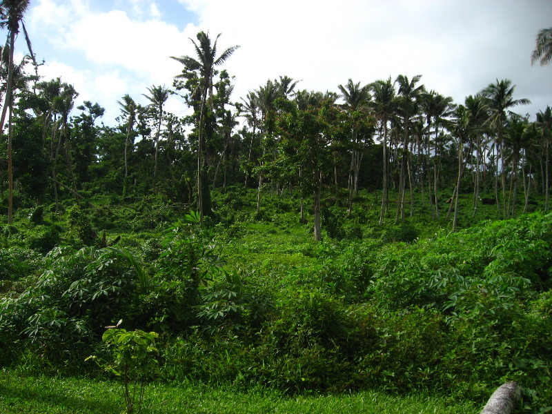 Bibis-Hideaway-Matei-Taveuni-Island-Fiji-082