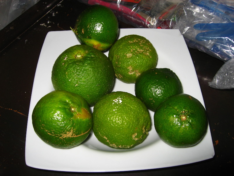 Bibis-Hideaway-Matei-Taveuni-Island-Fiji-088