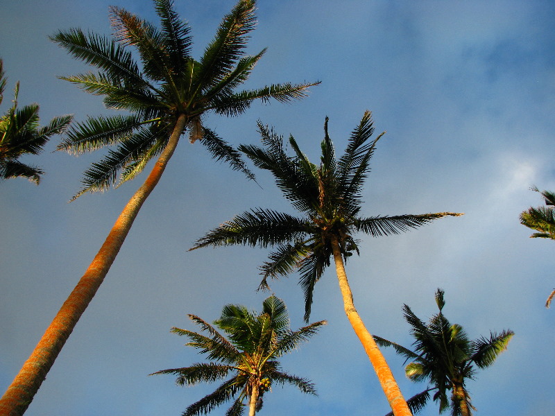 Bibis-Hideaway-Matei-Taveuni-Island-Fiji-100