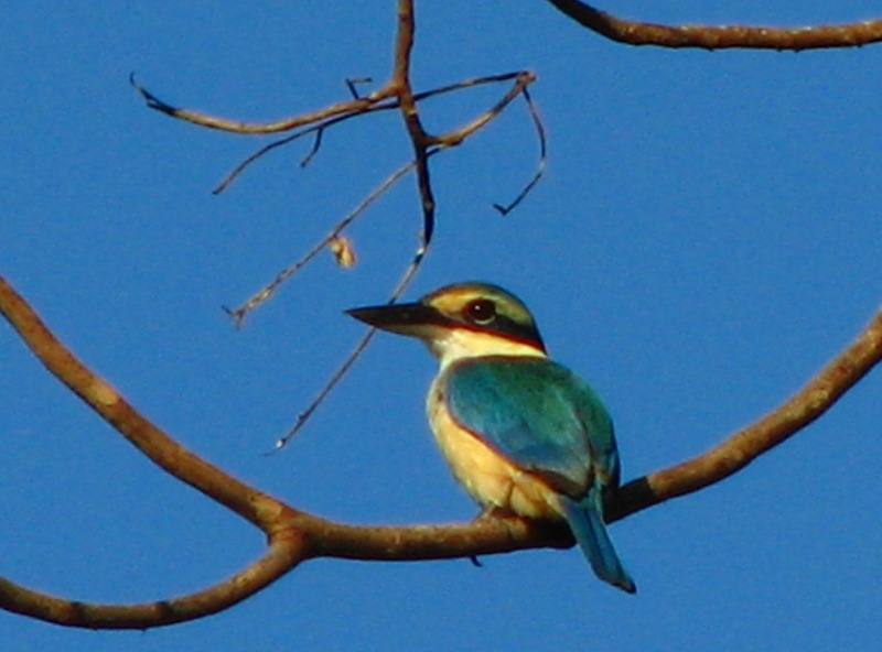Bibis-Hideaway-Matei-Taveuni-Island-Fiji-103