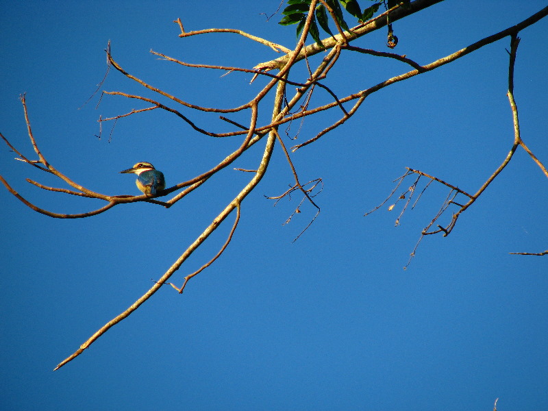 Bibis-Hideaway-Matei-Taveuni-Island-Fiji-104