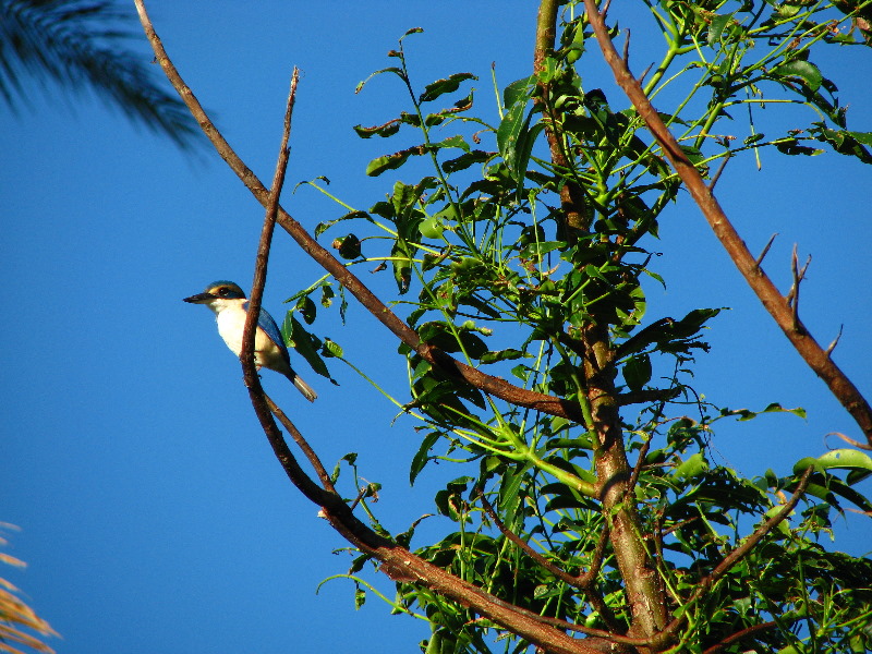 Bibis-Hideaway-Matei-Taveuni-Island-Fiji-108