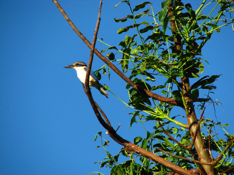 Bibis-Hideaway-Matei-Taveuni-Island-Fiji-112