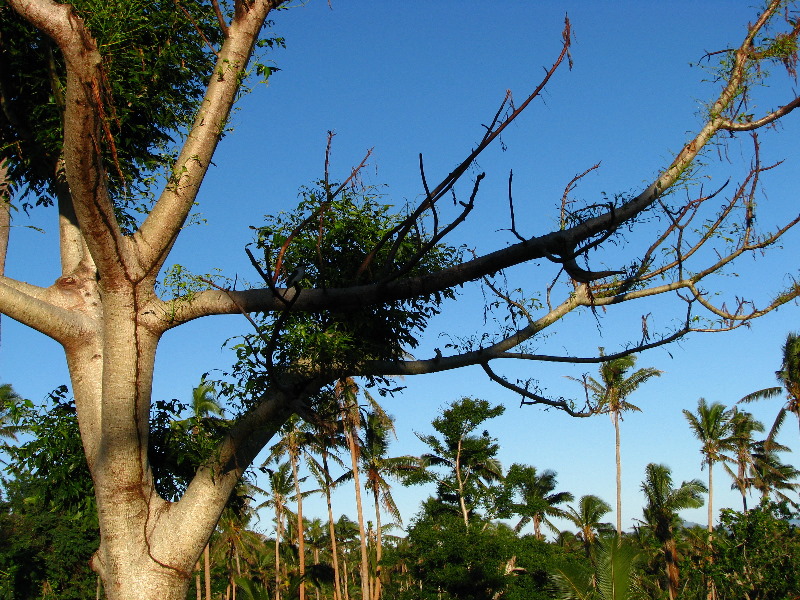 Bibis-Hideaway-Matei-Taveuni-Island-Fiji-113