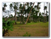 Bibis-Hideaway-Matei-Taveuni-Island-Fiji-040
