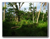 Bibis-Hideaway-Matei-Taveuni-Island-Fiji-048