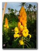 Bibis-Hideaway-Matei-Taveuni-Island-Fiji-049