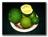 Bibis-Hideaway-Matei-Taveuni-Island-Fiji-054