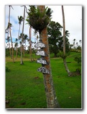 Bibis-Hideaway-Matei-Taveuni-Island-Fiji-064