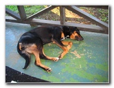 Bibis-Hideaway-Matei-Taveuni-Island-Fiji-073