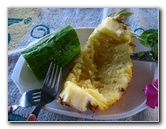 Bibis-Hideaway-Matei-Taveuni-Island-Fiji-074