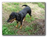 Bibis-Hideaway-Matei-Taveuni-Island-Fiji-079