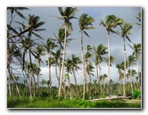 Bibis-Hideaway-Matei-Taveuni-Island-Fiji-080