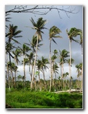 Bibis-Hideaway-Matei-Taveuni-Island-Fiji-081