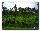 Bibis-Hideaway-Matei-Taveuni-Island-Fiji-082