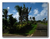 Bibis-Hideaway-Matei-Taveuni-Island-Fiji-091