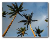 Bibis-Hideaway-Matei-Taveuni-Island-Fiji-100