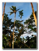 Bibis-Hideaway-Matei-Taveuni-Island-Fiji-101