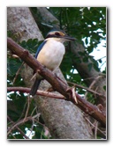 Bibis-Hideaway-Matei-Taveuni-Island-Fiji-102