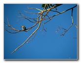 Bibis-Hideaway-Matei-Taveuni-Island-Fiji-104