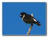 Bibis-Hideaway-Matei-Taveuni-Island-Fiji-110