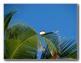 Bibis-Hideaway-Matei-Taveuni-Island-Fiji-115