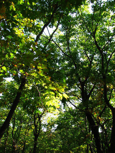 Big-Pocono-State-Park-Monroe-County-PA-011