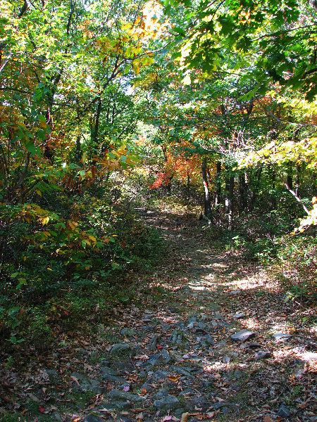 Big-Pocono-State-Park-Monroe-County-PA-012
