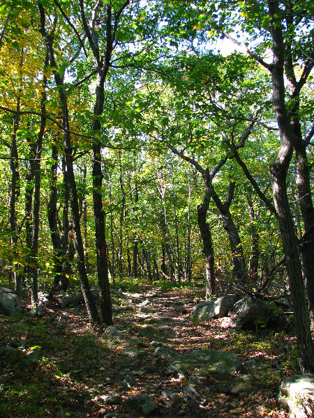 Big-Pocono-State-Park-Monroe-County-PA-016
