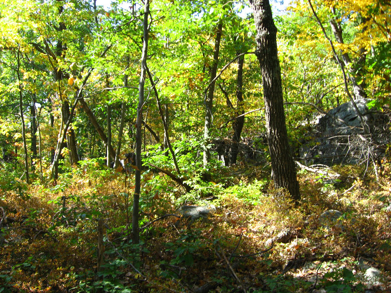 Big-Pocono-State-Park-Monroe-County-PA-028