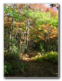Big-Pocono-State-Park-Monroe-County-PA-009
