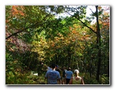Big-Pocono-State-Park-Monroe-County-PA-010