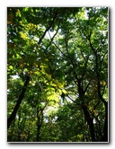 Big-Pocono-State-Park-Monroe-County-PA-011