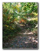 Big-Pocono-State-Park-Monroe-County-PA-012
