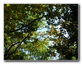 Big-Pocono-State-Park-Monroe-County-PA-013