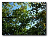 Big-Pocono-State-Park-Monroe-County-PA-014