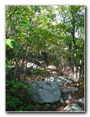 Big-Pocono-State-Park-Monroe-County-PA-017
