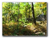 Big-Pocono-State-Park-Monroe-County-PA-028