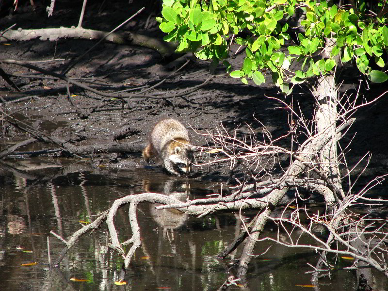 Bonnet-House-Fort-Lauderdale-FL-002