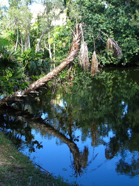 Bonnet-House-Fort-Lauderdale-FL-044