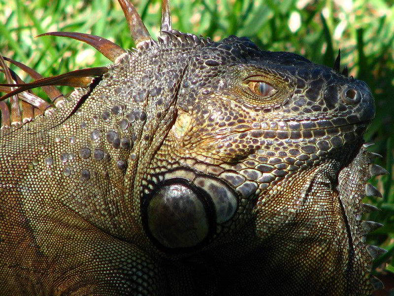 Bonnet-House-Fort-Lauderdale-FL-050