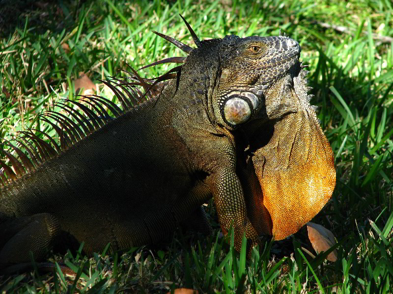 Bonnet-House-Fort-Lauderdale-FL-054