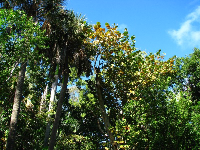 Bonnet-House-Fort-Lauderdale-FL-057